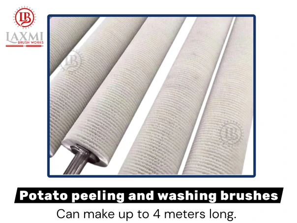 Coil Roller Brush 2