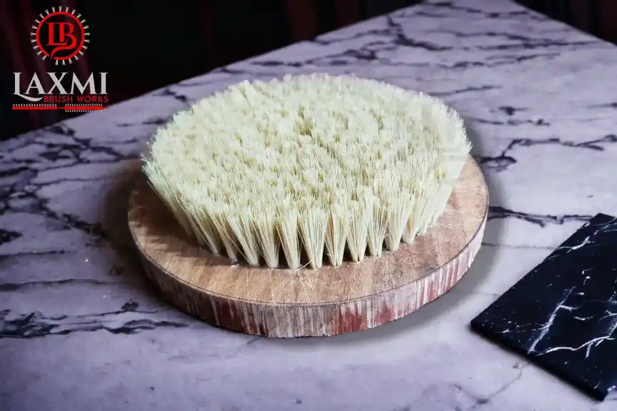 Disc Brush 3